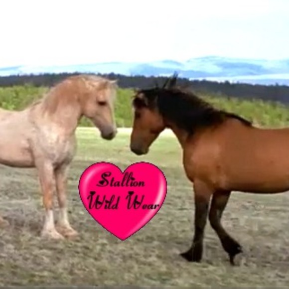 stallion_wear